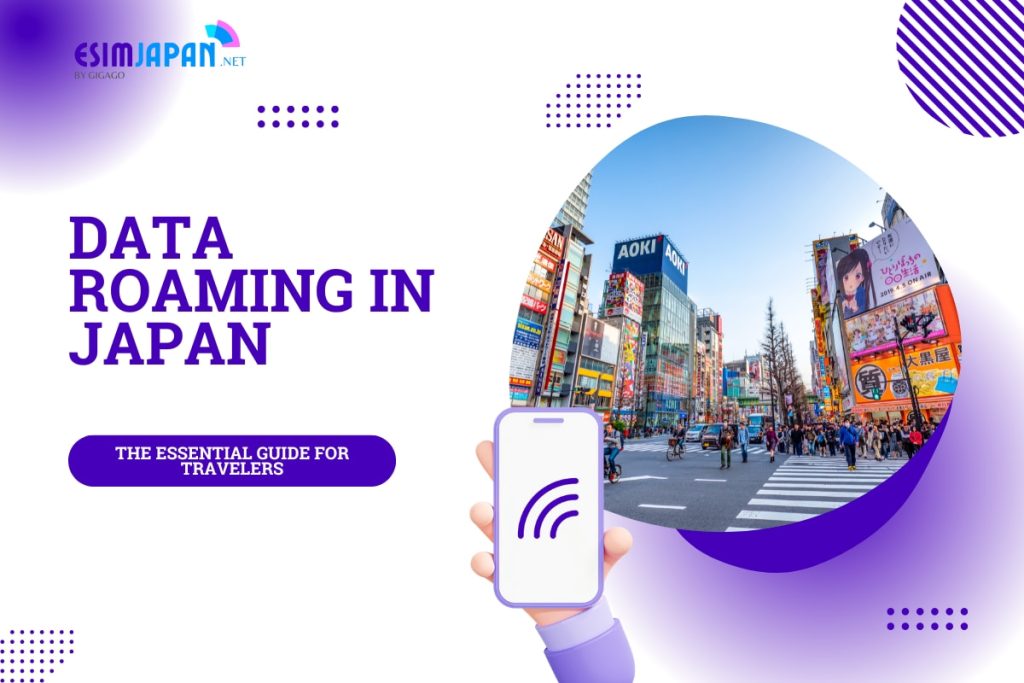 Data Roaming in Japan